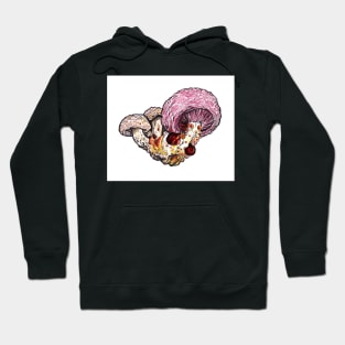 Wrinkled Peach fungus Hoodie